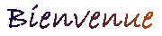 Bienvenue sur la version Fran�aise de mon site
